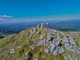 Tontorra