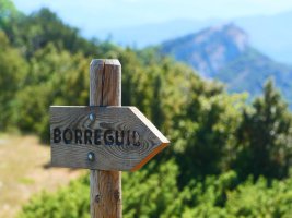 Letrero dotore batzuk erakusten dute bidea hainbat lekutan