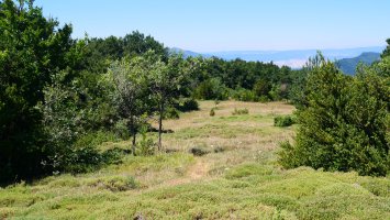 Tontorraren inguruko larre eremua, Borreguil