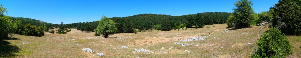 Ollateko mendatearen inguruko larre eremu zabala