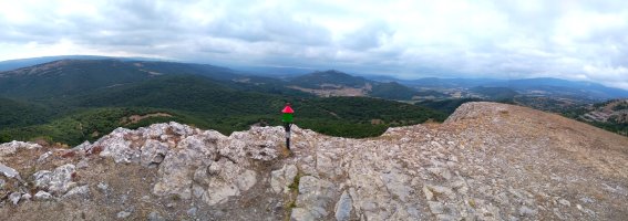 Tontorra