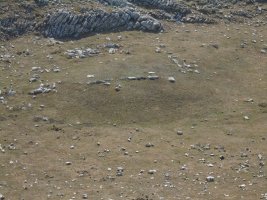 lurgorri