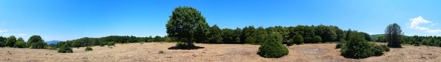 Xuritze gailurreko panoramika osoa