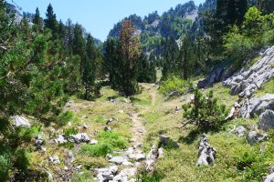 GR12aren arrastora itzultzen