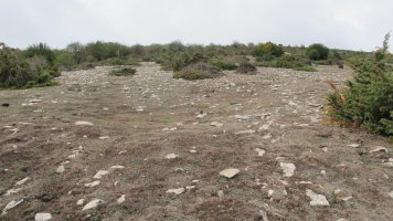 Treshayas eraztun tumulua, Andia