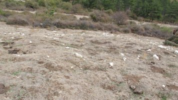 Urdintxa 3 eraztun tumulua, Andia