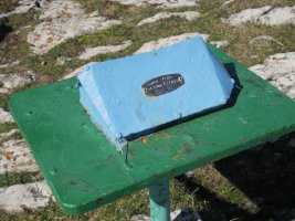 Txartelontzia, Ganboatxiki