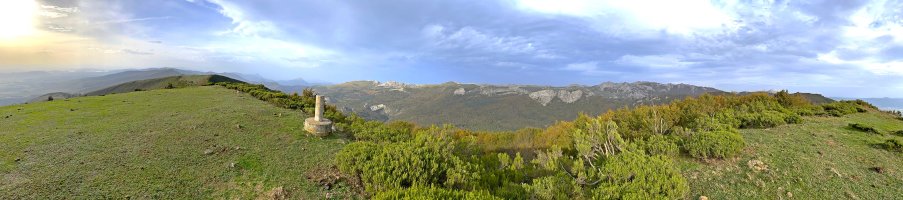 Tontorra
