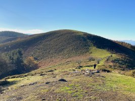 Larragorri