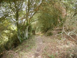 Jaitsierako pasarte bat