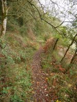 Jaitsierako pasarte bat