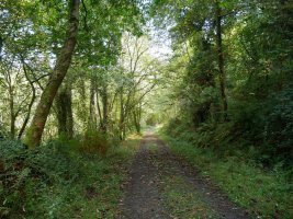 Jaitsierako pasarte bat