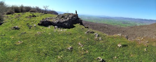 Tontorra