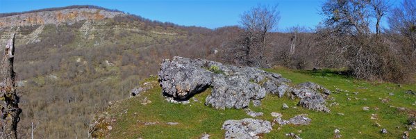 Tontorra