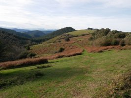 Garduzulo aterpetik jaisten