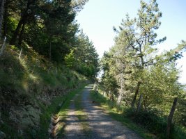 Arrastalekura iristen