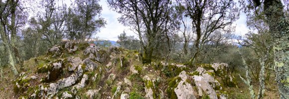 Tontorra