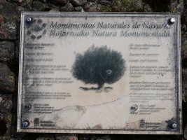 Berako gorostia