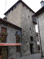 Dorrea, Anso