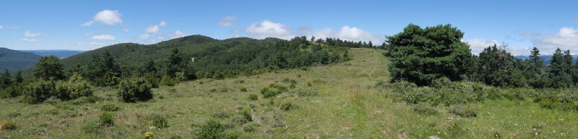 Bardipeña Etik