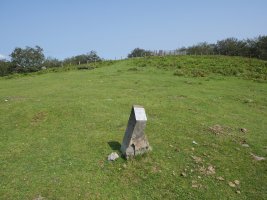 Sorageta