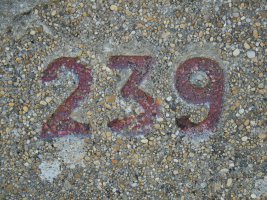 239 mugarria