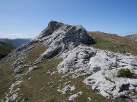 Aitzorrotz tontorra