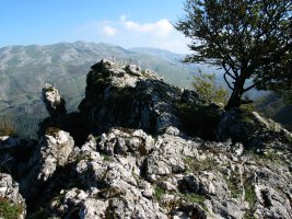 Tontorra