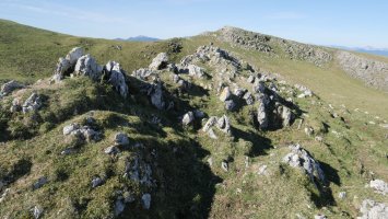Saltarrimendi gaina