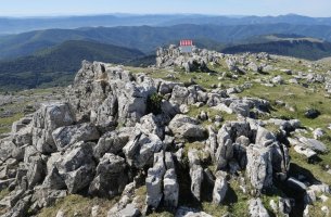 Malkorri tontorra