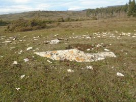 pinar de urbasa sur