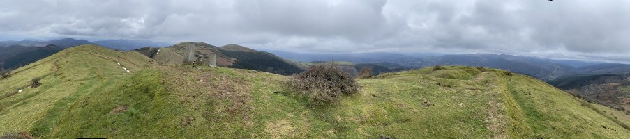 Tontorra