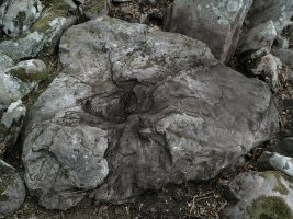 Estalkia?
