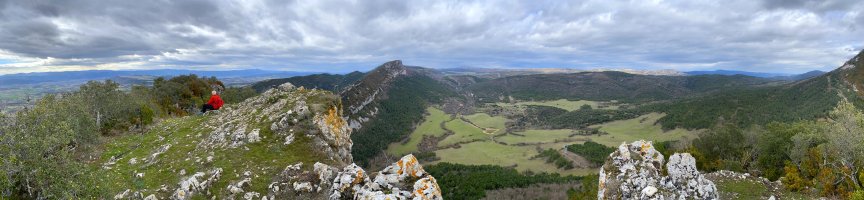 Tontorra