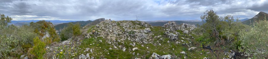 Tontorra