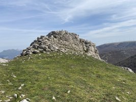 Tontorra