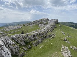 Kurutzebarritik