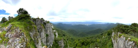 Tontorra