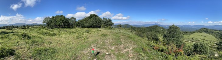 Tontorra