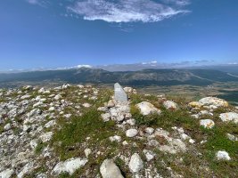 Tontorra