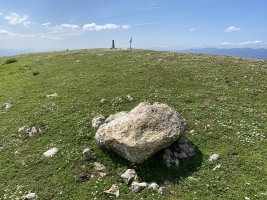 Tontorra