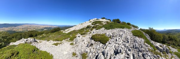 Tontorra