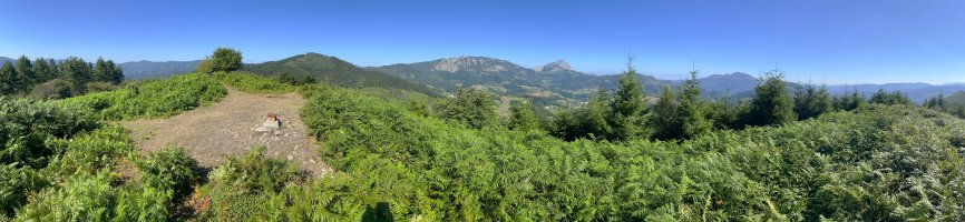 Tontorra