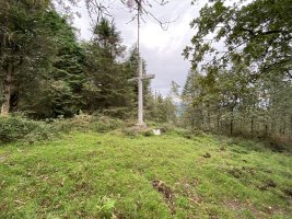 Gurutzea