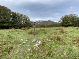 Tontorra