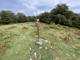 Tontorra