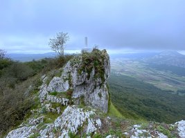 Tontorra