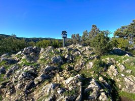 Tontorra