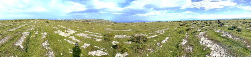 Tontorra
