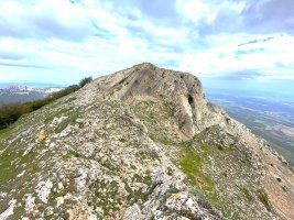 Laplana